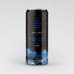 Blueberry Gin and Sonic 300ml Ten Packs